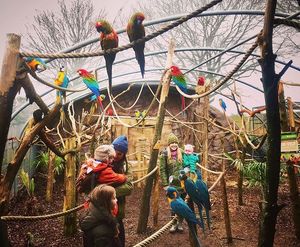 Supporting image for story