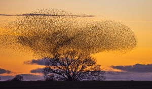 Photo taken by Andrew Fusek Peters, pro wildlife photographer