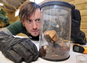 Supporting image for story