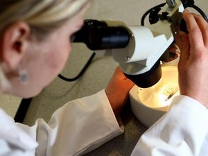 Supporting image for story: Low-cost arthritis drug could treat patients with blood cancers – study
