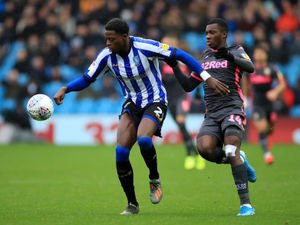 Supporting image for story: West Brom v Sheffield Wednesday: Inside track on the Owls
