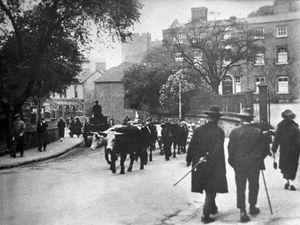 Supporting image for story: If you think traffic in Shrewsbury is bad, at least you don't have to contend with scenes like this. Nor the inevitable street deposits.