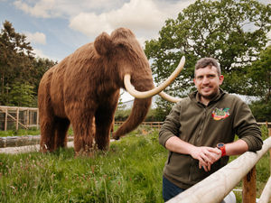 Supporting image for story: Find out which zoo in Shropshire has been named as one of the best in Europe