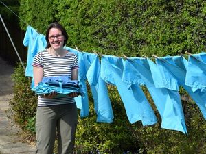 Supporting image for story