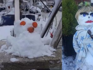 Supporting image for story: 9 snowmen, snowwomen and snowdogs who all have something very different to offer