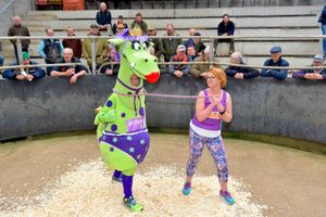 Businesses donated prizes for the auction