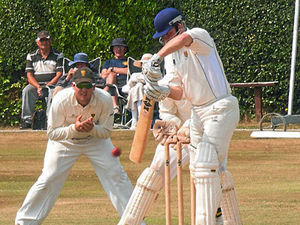 Supporting image for story: Shropshire's Omar Ali hits century against Cornwall