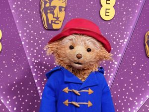 Supporting image for story: Paddington The Musical triumphs at WhatsOnStage awards with nine wins