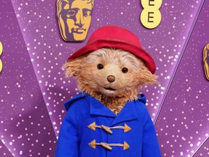 Supporting image for story: Paddington The Musical triumphs at WhatsOnStage awards with nine wins