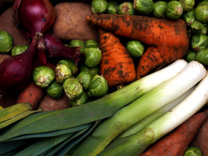 Supporting image for story: Vegetarian and vegan festival heading to Shrewsbury