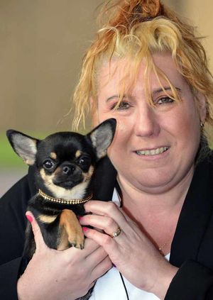 Jo Davis, from Walsall, with her smooth haired Chihuahua, Ebony