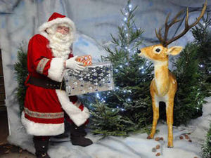 Supporting image for story: Santa's big helper clocks up his 25th year