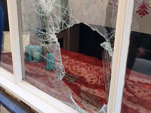 Supporting image for story: 'They make you want to tear your hair out' - Hairdresser's fury at thieving vandals