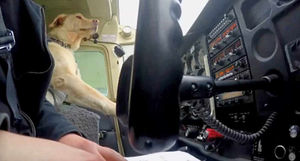 Reggie strapped in and sat in the pilot's seat, ready for the off