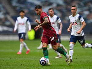 Supporting image for story: Wolves Fans' Verdict v Spurs: Is it over yet?