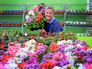 Supporting image for story: Garden centres reopen their doors to customers in the region
