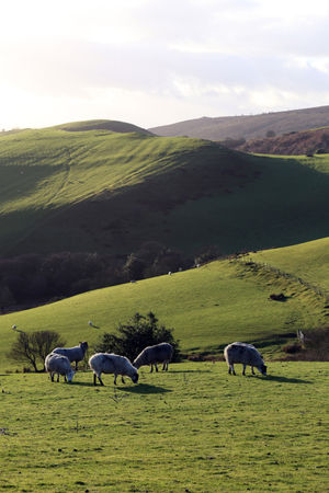 Stiperstones: should it become a national park?