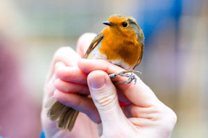 Supporting image for story