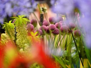 Supporting image for story: NFU urges members to get growing for Shrewsbury Flower Show 