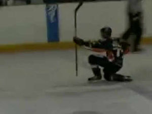 Supporting image for story: Highlights: Basingstoke Bison v Telford Tigers