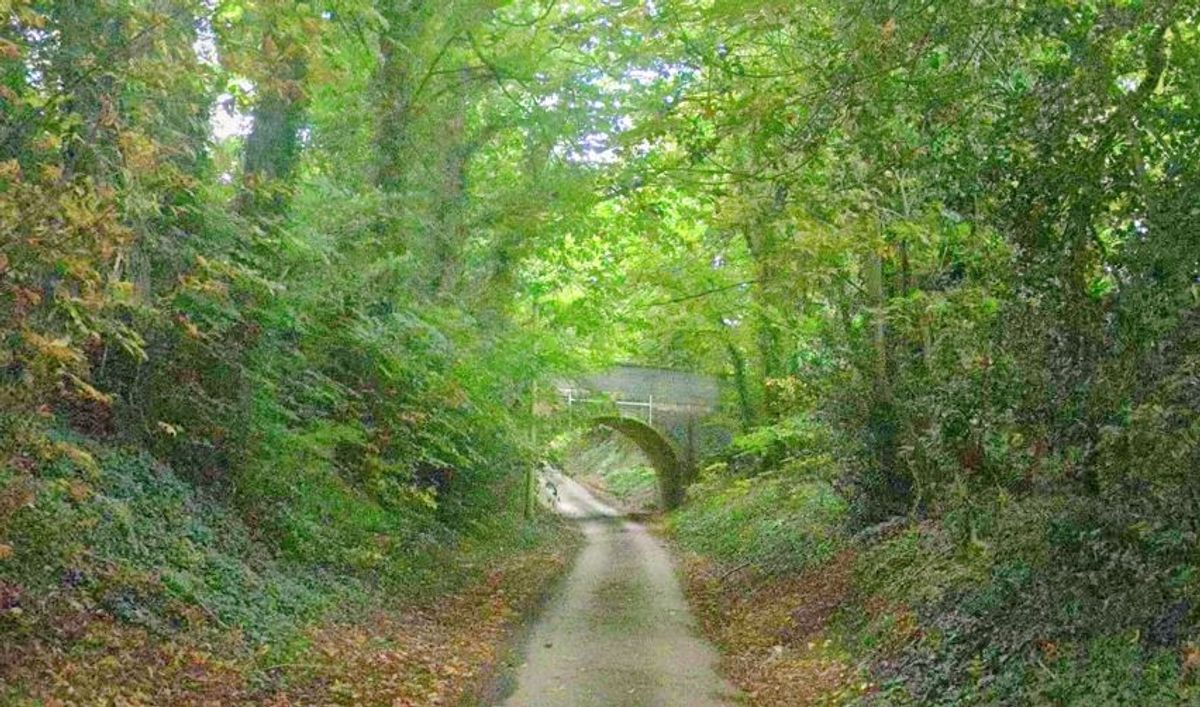 Drivers warned of upcoming daytime closure on country road near Shropshire village