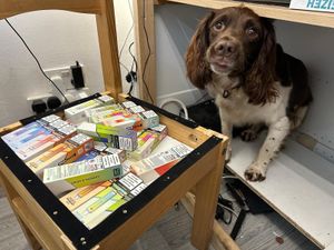 Supporting image for story: 'One of the largest seizures' of illegal cigarettes, tobacco and disposable vapes carried out in Walsall