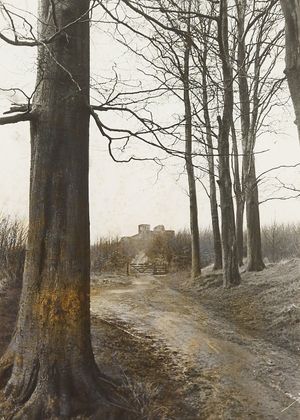 February 1967: 'All that remains of Stafford Castle, seen through the avenue of trees. A majority of voters in a poll conducted by Stafford Historical and Civic Society are opposed to its complete demolition.' 