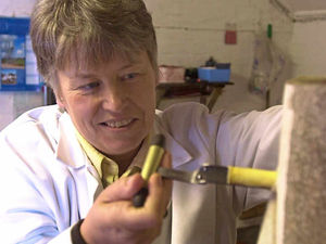 Supporting image for story: Star comment: It's sweet success for Shropshire at fine food awards