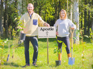 Supporting image for story: Couple have a whole latte of love for environment