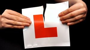 Supporting image for story