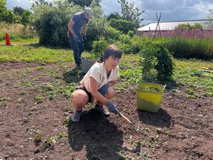 Supporting image for story: Gardening and outdoor activities project to benefit Powys people with mental health and neurological conditions