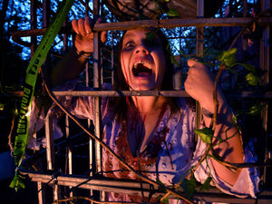 Supporting image for story: 16 ways to have a frightfully fun half-term this Halloween