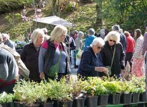 Spring Plant Fair Returns to Bodenham Arboretum on Saturday 28th March