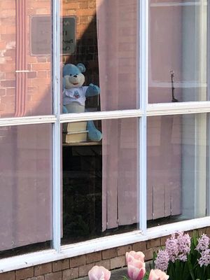 The BookStart bear