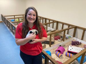 Supporting image for story: Harper Adams' companion animals get new menu thanks to student's innovative placement project