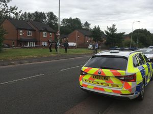 Supporting image for story