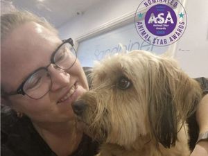 Supporting image for story: Animal Star Awards 2025 finalist: Donna’s journey from fundraiser to hands-on rescuer