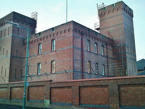 Supporting image for story: Copthorne Barracks: Bat’s no problem survey finds