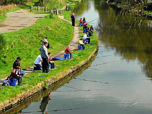 Supporting image for story: Pupils swap classroom for canal bank