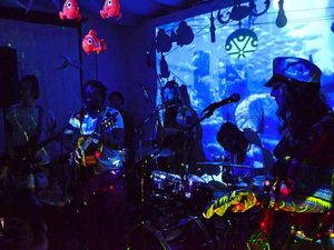 Supporting image for story: Stoke's Captain Stingray's Groove Machine talk ahead of album release and Midlands shows - unsigned interview