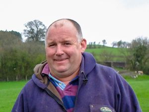 Supporting image for story: NFU Cymru members can quiz parliamentary candidates  