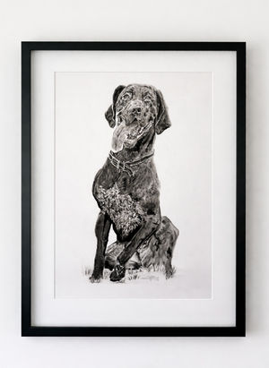 'People think they are photographs'_ See the inc... - Article Edit - GPP