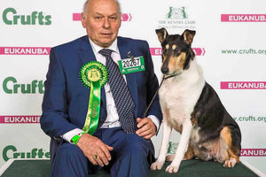 Supporting image for story: Pawsome day as Wem man's dog wins Crufts best of breed