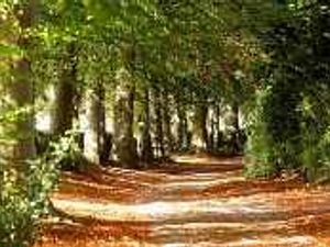 Supporting image for story: Schoolboy's toll road charity boost