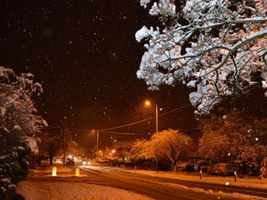 Supporting image for story: Star comment: Snow sees best in us come out
