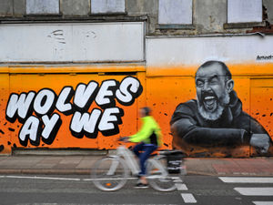 Supporting image for story: Stunning Wolves graffiti brightens up abandoned city shop