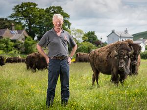 Supporting image for story: Organic estate continues fight against plastic