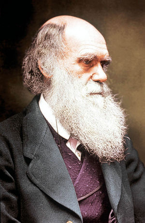 A colourised image of Darwin with his familiar beard – which he started growing in 1862.