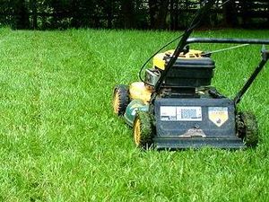 Supporting image for story: Mark Andrews: Don't kick our small businesses into the long grass