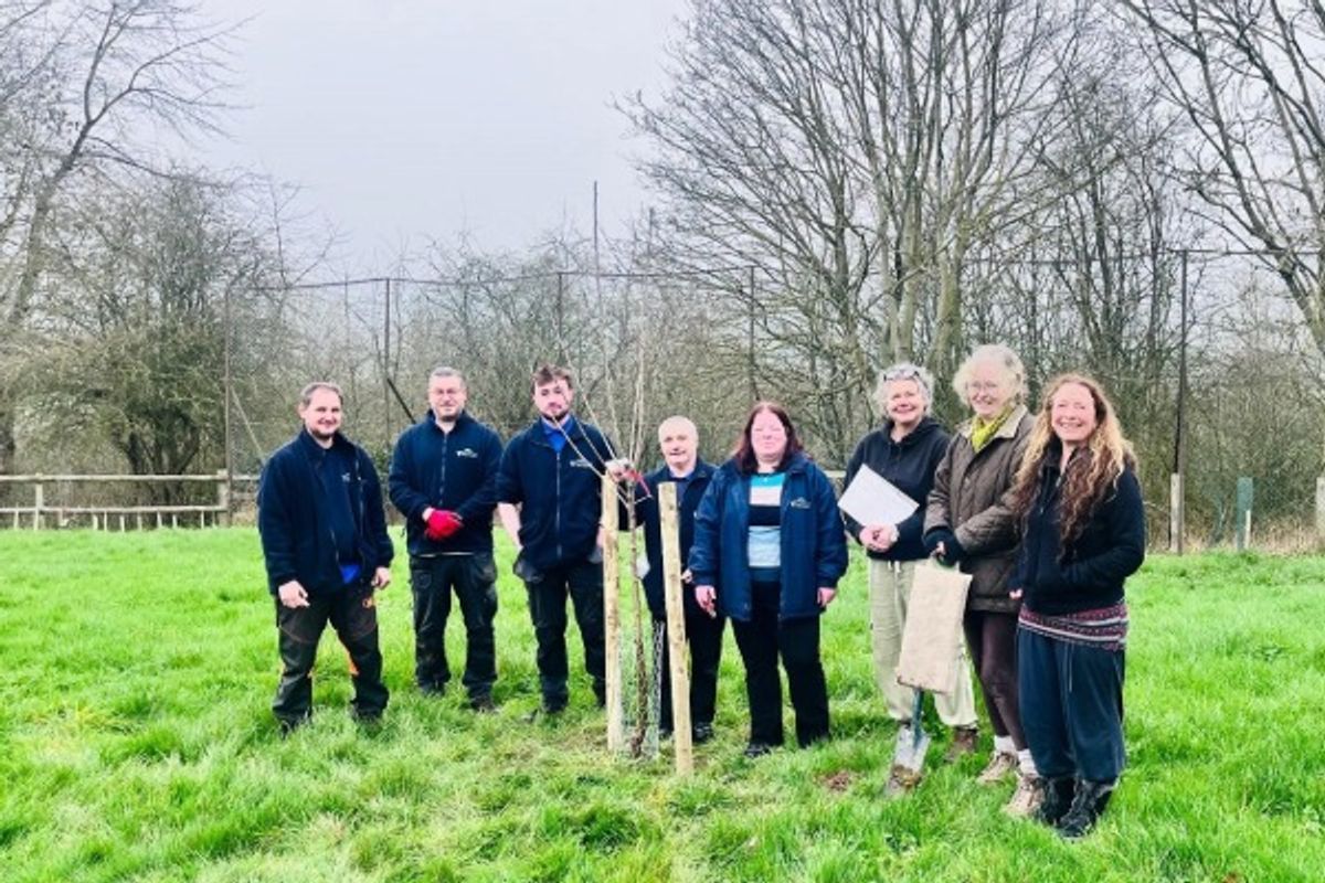New Ludlow community orchard planted by local volunteers with donated trees